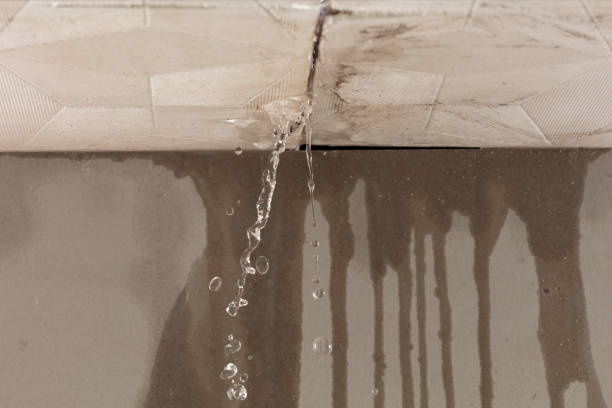 Professional Sewage Cleanup technician working in Wellington, UT